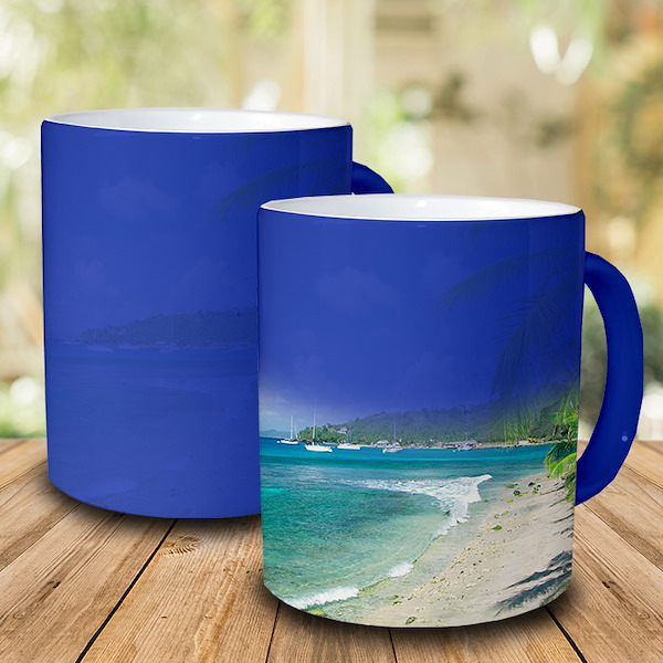 Custom Color Changing Mug | Heat Sensitive Photo Mug | Winkflash