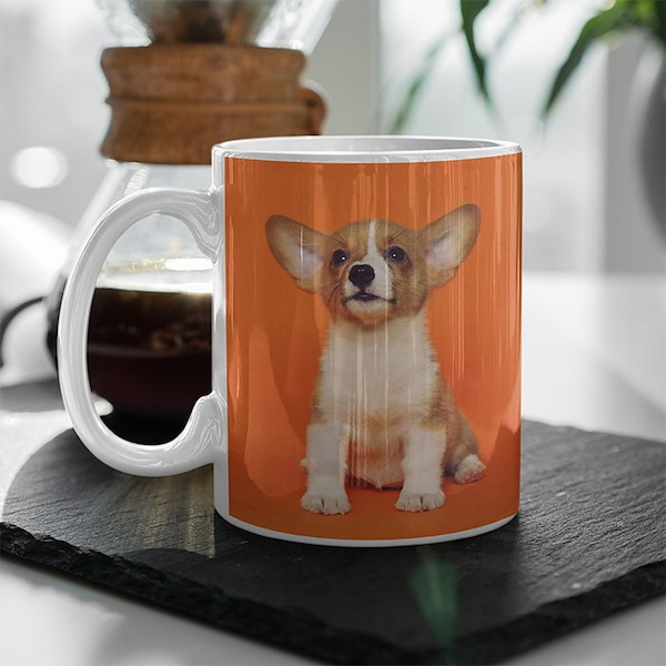 Personalized Photo Mugs Custom Travel Mugs & Tumblers Meijer Photo
