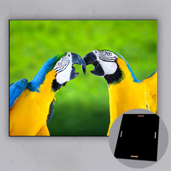 Solid Glossy MDF Photo Panels | Glossy Photo Plaques | RitzPix