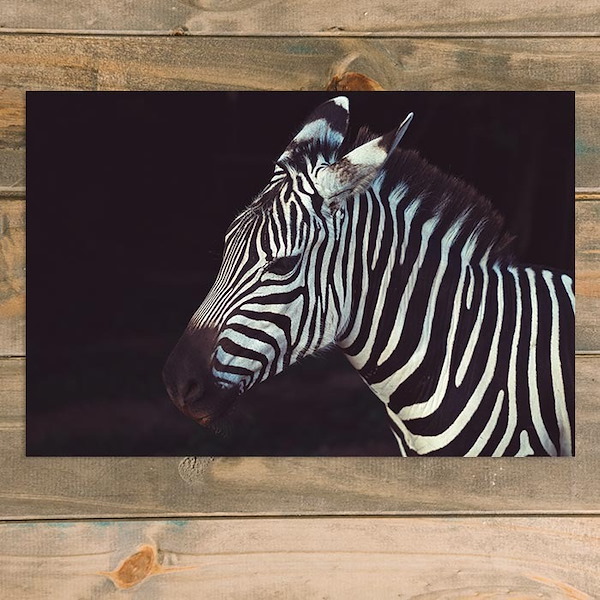 Prints and enlargements