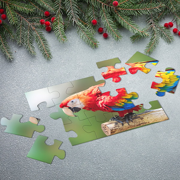 Make a Puzzle From A Picture 