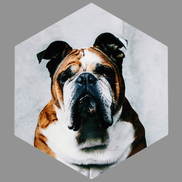 Wall Décor Meijer Photo