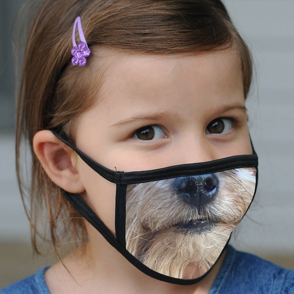Custom Face Masks Meijer Photo