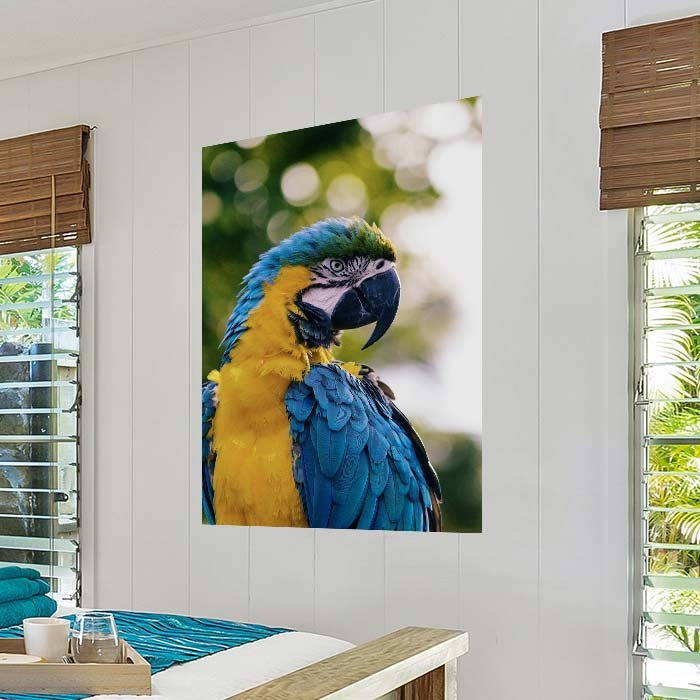 Peel and Stick Prints